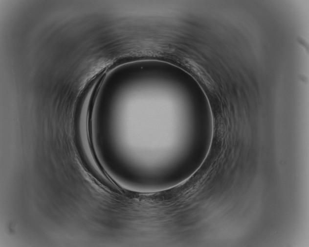 X0000091300677200708241051