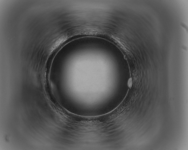 X0000091300679200708241051