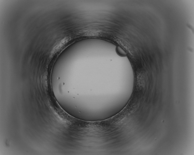 X0000091300682200708241051