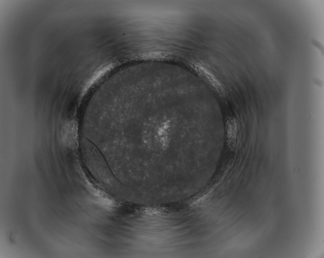 X0000091300684200708241051