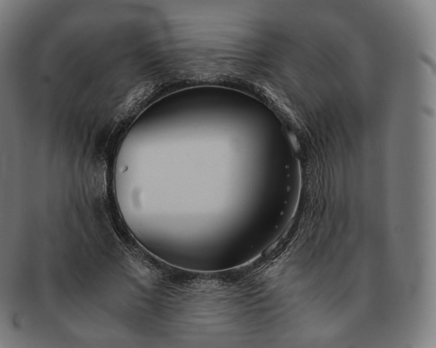 X0000091300685200708241051