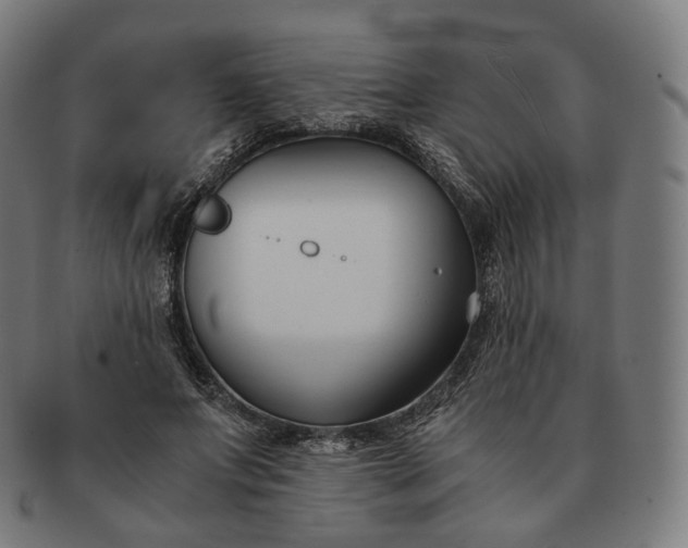 X0000091300687200708241051