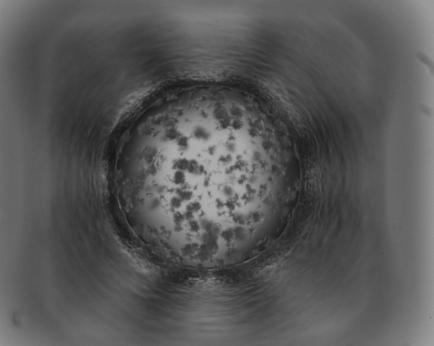 X0000091300688200708241051