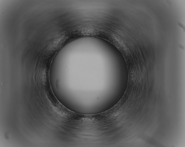 X0000091300690200708241051