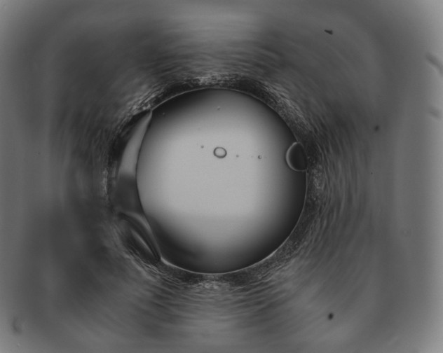 X0000091300691200708241051