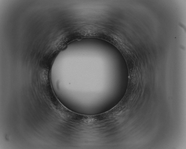 X0000091300695200708241051