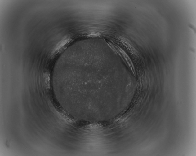 X0000091300696200708241051