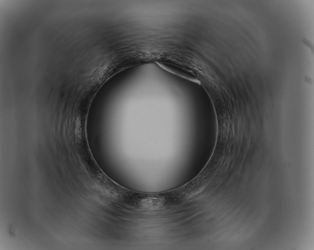 X0000091300700200708241051