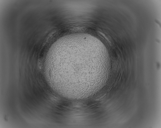 X0000091300701200708241051