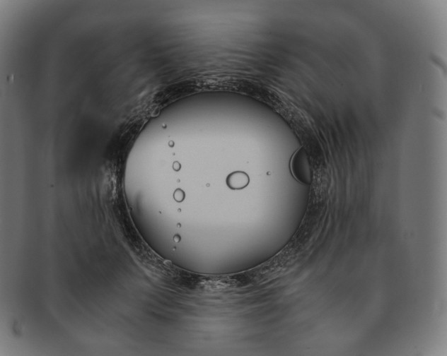 X0000091300703200708241051