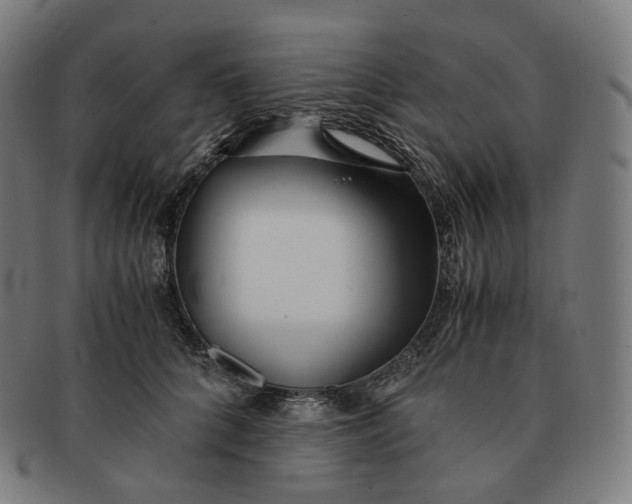 X0000091300704200708241051