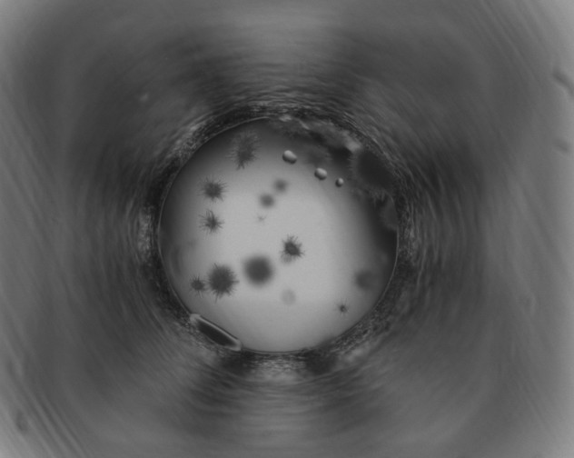 X0000091300708200708241051