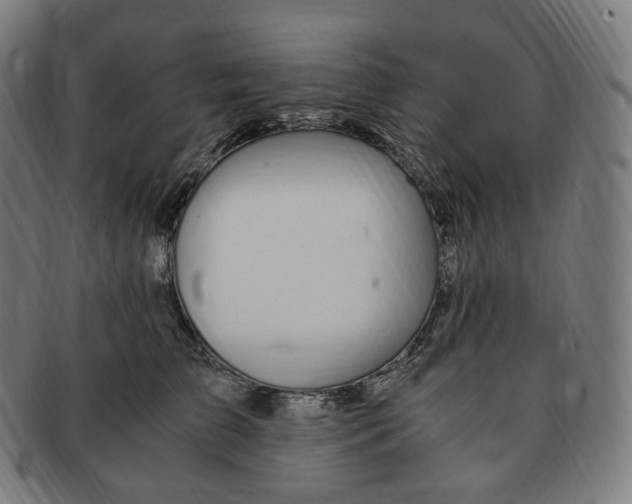 X0000091300709200708241051