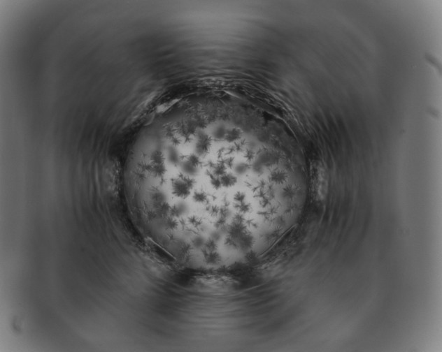 X0000091300712200708241051