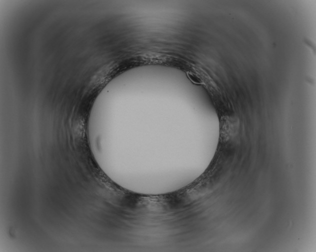 X0000091300713200708241051