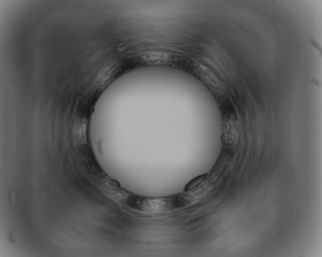 X0000091300717200708241051