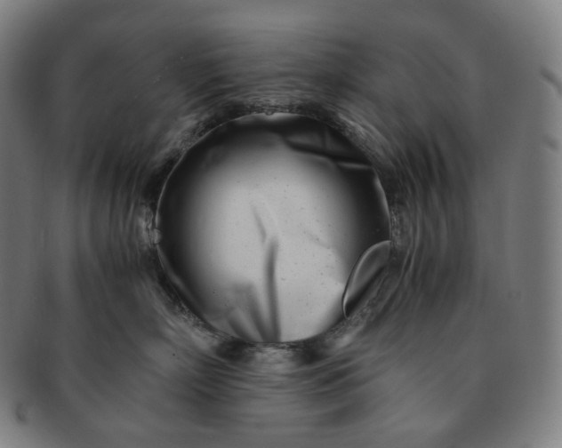 X0000091300718200708241051