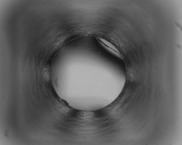 X0000091300719200708241051