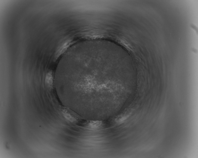 X0000091300720200708241051