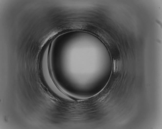 X0000091300723200708241050