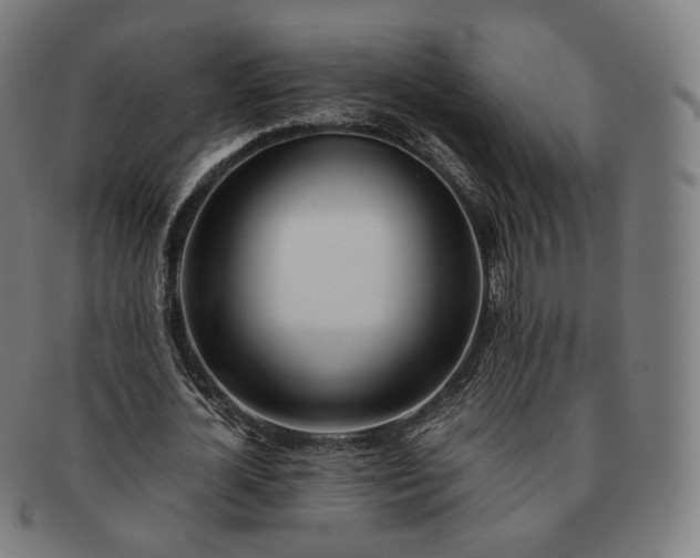 X0000091300724200708241050