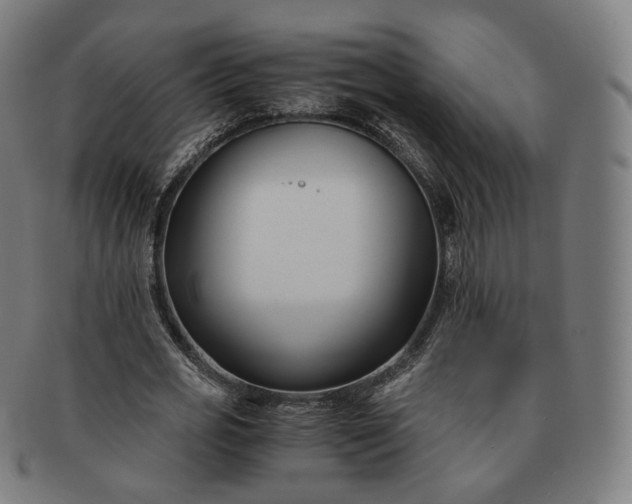 X0000091300725200708241050