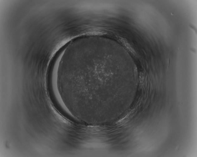 X0000091300726200708241050