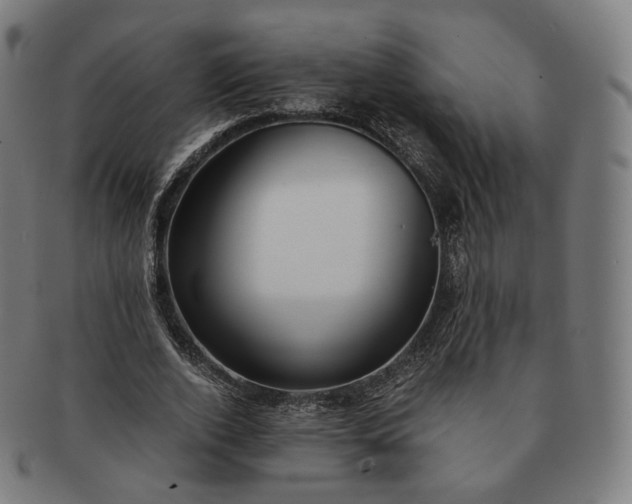 X0000091300728200708241050