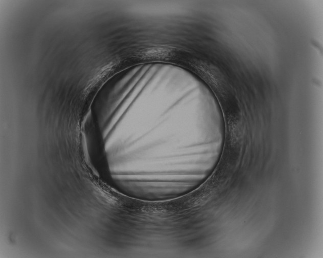 X0000091300729200708241050