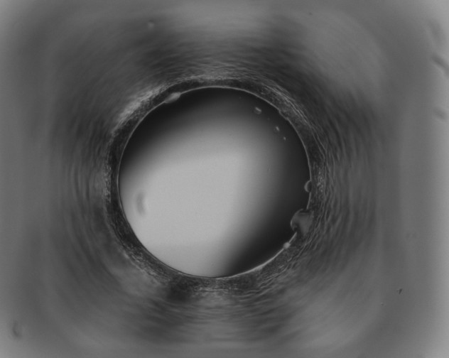 X0000091300732200708241050