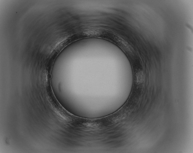 X0000091300733200708241050