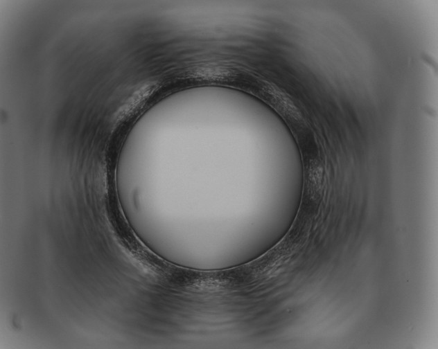 X0000091300734200708241050