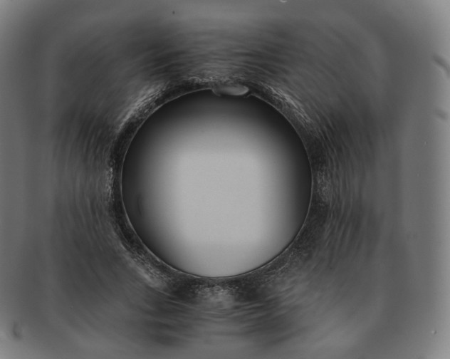 X0000091300735200708241050