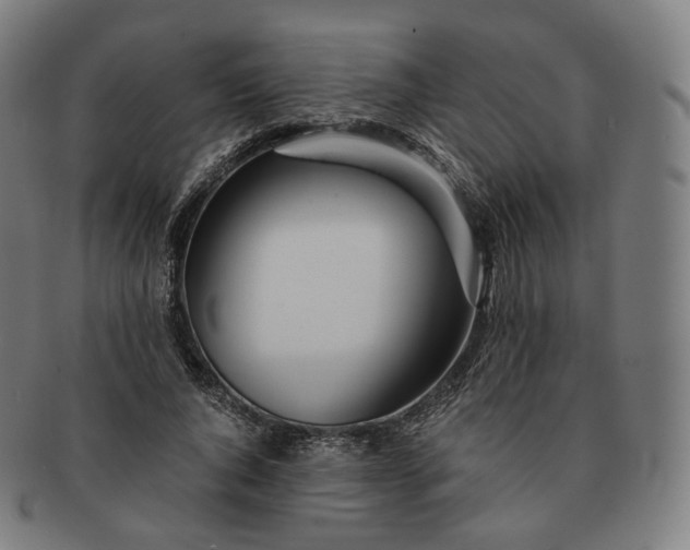 X0000091300736200708241050