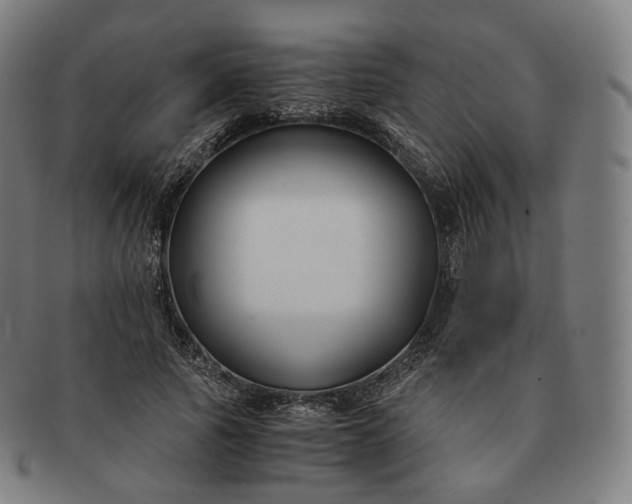 X0000091300737200708241050