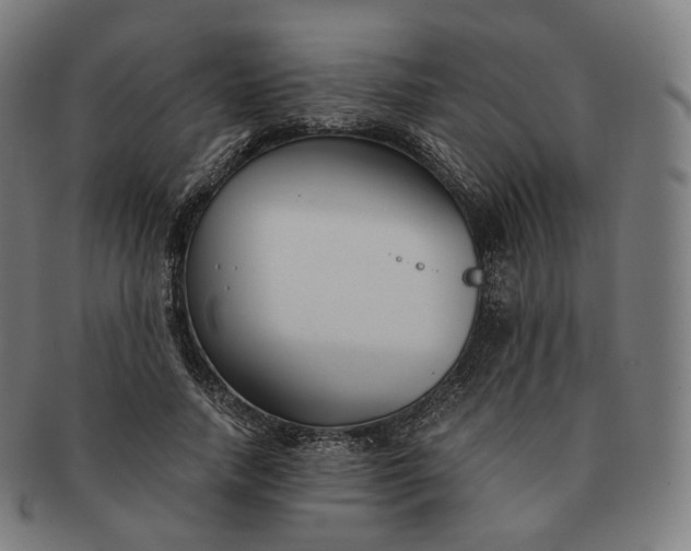 X0000091300738200708241050