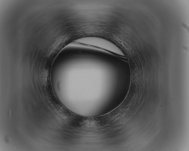 X0000091300742200708241050