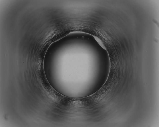 X0000091300744200708241050