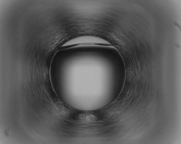 X0000091300747200708241050