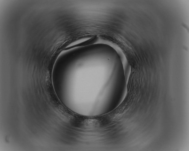 X0000091300748200708241050