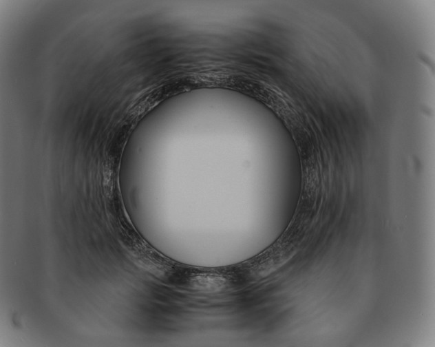 X0000091300749200708241050