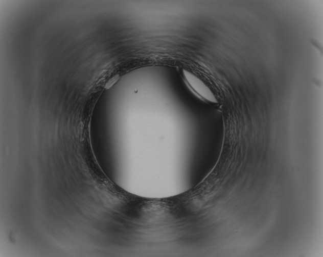 X0000091300750200708241050