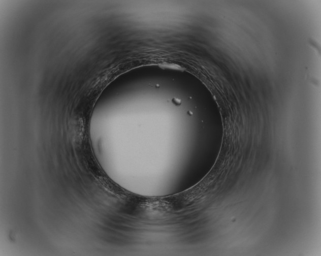 X0000091300752200708241050