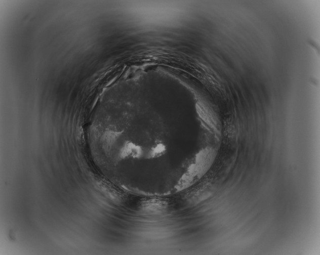 X0000091300754200708241051