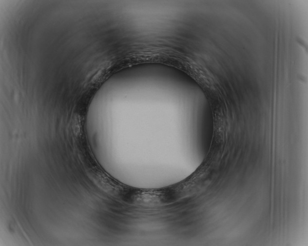 X0000091300758200708241051