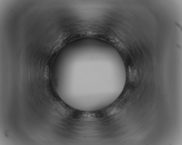 X0000091300760200708241051