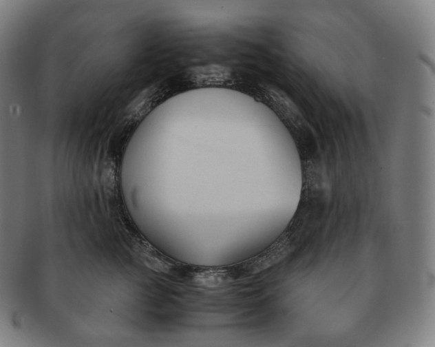 X0000091300761200708241051