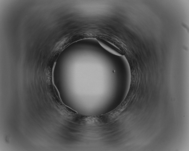 X0000091300762200708241051