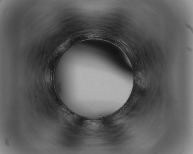 X0000091300763200708241051