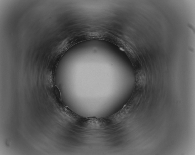 X0000091300764200708241051